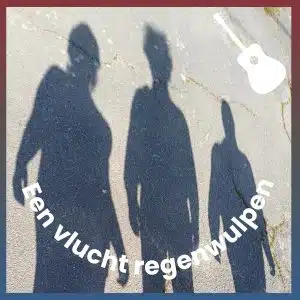een vlucht van 3 regenwulpen